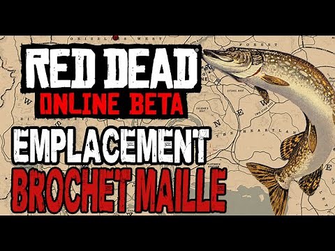 RED DEAD ONLINE - EMPLACEMENT BROCHETS MAILLÉS