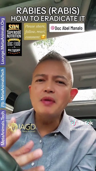 RABIES (RABIS) HOW TO ERADICATE IT @Doc Abel Manalo #dogs #rabies #rabis #pets #vet #veterinarian #zoonosis #epidemiology #safety #health
