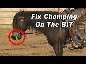 Horse CHOMPING On The BIT and How To Fix It - Horse Training Problems