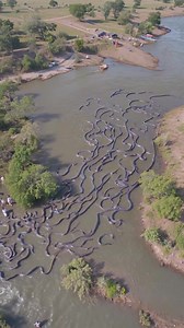 🟥 BREAKING NEWS: Thousands of Serpents Spotted Swimming Through Remote Lake — Eyewitnesses Left Frozen in Fear Shocking footage captured on a cameraphone shows a massive swarm of snakes moving in unison through the waters of an isolated lake, believed to be somewhere in Central Africa. Locals gathered along the banks, visibly stunned as the serpents slithered downstream in a coordinated, almost unnatural formation. Wildlife authorities have yet to comment, but online speculation ranges from env