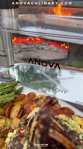 10K views · 78 reactions | “While you can take years to perfect your wild game over the fire, the sous vide makes it perfect every time and you don’t run the risk of tough and dry game meat.” Derek Wolf trusts the Anova Precision® Cooker Pro to deliver edge-to-edge perfection, especially when cooking wild game. Get Derek's game changing tips: https://anovaculinary.com/pages/derek-wolf-over-the-fire #sousvide #venison #wildgamecooking #anovafoodnerd | Anova | Facebook