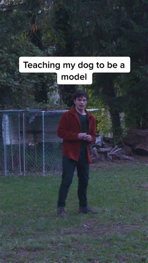 Teaching My Dog How to Pose Like a Model