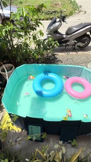 Best Inflatable Pool for Backyard | Summer Review