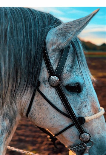 Eden Muñoz: My Earlier Self and Cowboy Culture