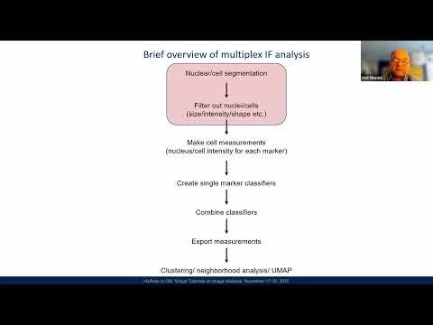 Practical Considerations for Using InstanSeg v Cellpose in QuPath for Multiplex Immunofluorescence