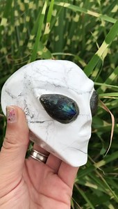 5 comments | Alien Carving with Labradorite Eyes $122...