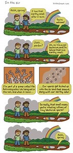 A Note on Gross vs. Net Primary Productivity