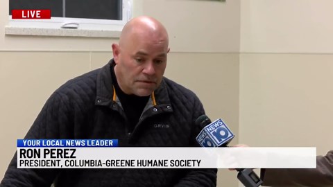 Adopt Jax for free this week at Columbia-Greene Humane Society