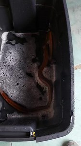 Hi julle Cobra in sy disenfectant bad. Be safe | Silverfox Snake Rescues