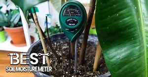 Best soil moisture meter | Your watering sensor [Top 5 reviewed]