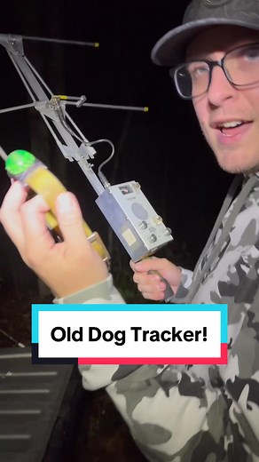 Replying to @Ryan wood #hounds #dogsoftiktok