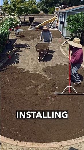 New lawn hybrid = half the mowing | CitraBlue install and review