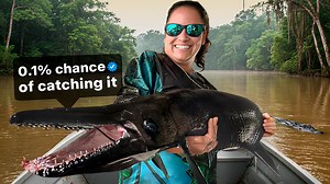 17K views · 203 reactions | Rarest Alligator Gar Ever Caught On...