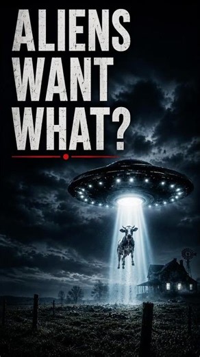 Aliens Want WHAT? UFO/UAP Investigator Rick Warner is on The Media Virus