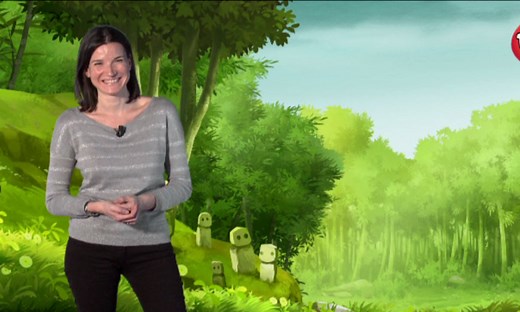 Bonus : A la rencontre des Mini-Ninjas