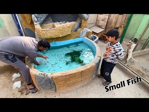 FOUNTAIN Ko Small Fishes Se Bhr Dia😍