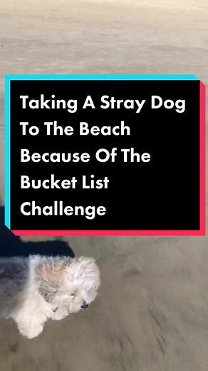 The100BucketListChallenge on TikTok