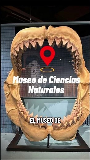 BARCELONA GRATIS: Guía de Museos y Planes (Sin pagar nada)💸✨#viajes #barcelonatips #shortsespaña