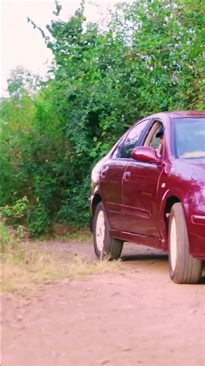 Uriatu Iguanagira by Sammy Young