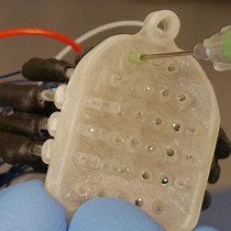 Video: Brain Source Imaging in Preclinical Rat Models of Focal Epilepsy using High-Resolution EEG Recordings