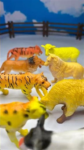 Wild Animal vs Farm Animal toys