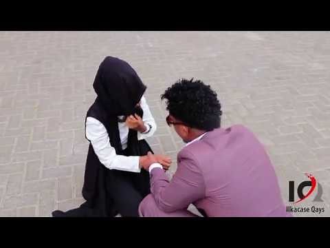 Heesti Iska Iloow | llkacase Qays | Official Music Video 2020