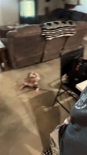 What in the heck is going on lol