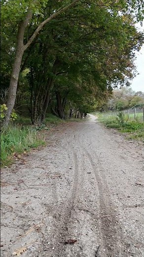 Tamiya BBX - Short Speed Run 53km/h