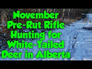 Pre-Rut Rifle Hunting for White-Tailed Deer in Alberta (November 2020) Part 1