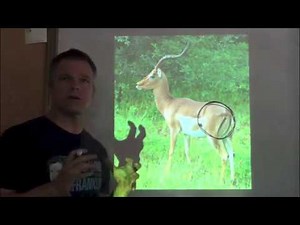 Drawing Mammals: 3/4 view, fur texture, and gaits