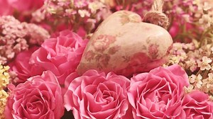 Rose Day 2023: Funny Memes About Singles Plight Flood Internet - Check Hilarious Posts