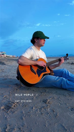 Wild World by Yusuf/Cat Stevens Cover