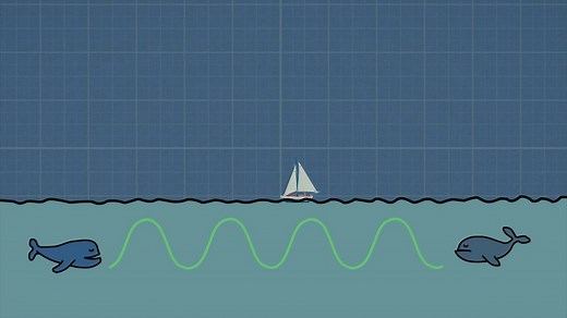 Sound and communication - BBC Bitesize