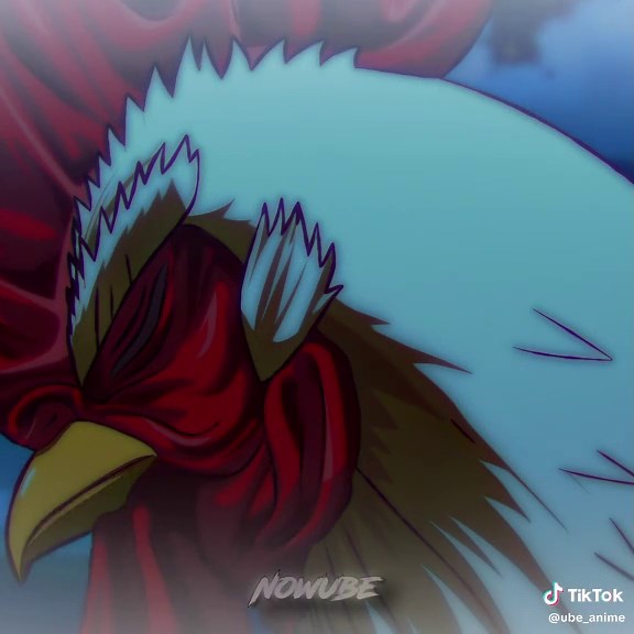 Momento Épico en Rooster Fighter