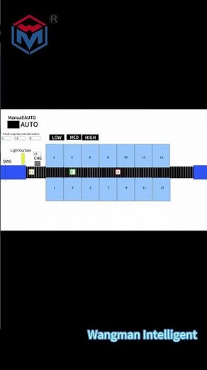 How does a narrow belt sorter work?#wangmanintelligent