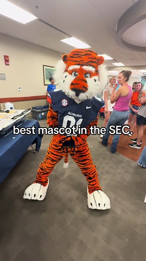 Experience Auburn Football with Aubie the Tiger