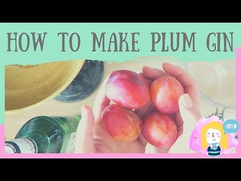 HOW TO MAKE PLUM AND CINNAMON GIN