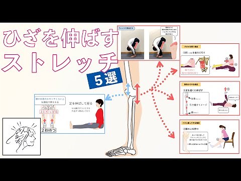 膝を伸ばすストレッチ方法『特集・まとめ』【UD版】