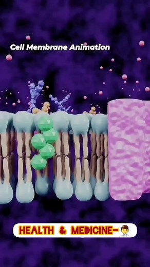 4K views · 116 reactions | #cell_membrane animation | Health & Medicine-AW | Facebook