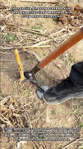 Innovative Foot Operated Lever Tool For Effortless Manual Farm Crop Root Extraction