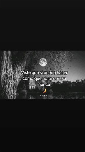 Videos de camil0015 (@camvas20015) con “sonido original - 𝕱𝖊𝖗𝖈𝖍𝖎𝖘 𝕸𝖊𝖏í𝖆”