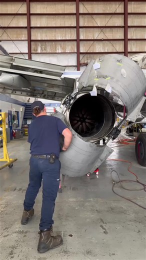 Thrust Reversers Maintenance Guide for Boeing B737-200