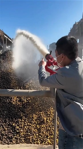 How is farming done on sandy soil? #shorts