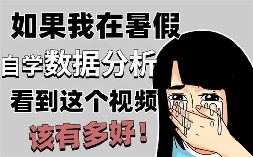 B站最新版88个经典案例Excel数据分析教程，入门到精通一套教程搞定！