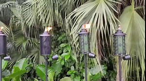 16oz Home Garden Torch, 6 Pack Outdoor Metal Torch Garden Décor,59-Inch Upgraded Citronella Torches with 3-Prong Grounded Stake, Metal Light Torches for Party Patio Pathway