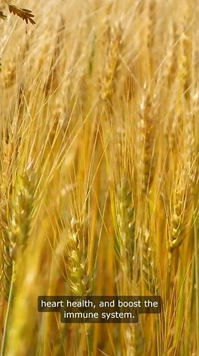 10 Benefits Of Wheat Germ Oil #shorts #viral #viralshort #informative #benefits #wheat #oil #health