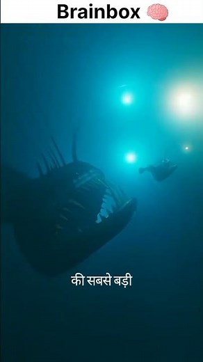 Angler Fish 🐠🐋🐟, Most angry fish in the world. #shortvideo #viral