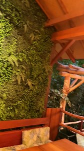 Entdecke die brandenburgischen Tropen ganz in der Nähe von Berlin! 🌴✨ Perfekt für einen Kurztrip aus der Hauptstadt, bietet Tropical Islands eine Oase der Entspannung während des kalten, deutschen Winters. 🌺🌞 #TropicalIslands #Urlaub | Tropical Islands