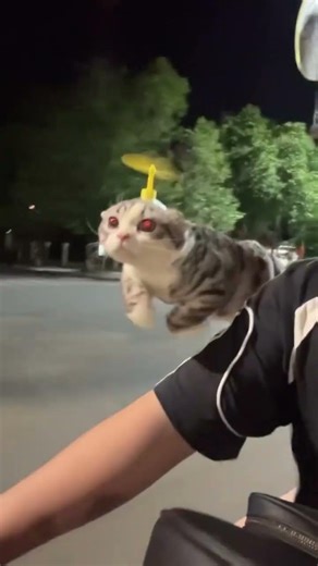 Espera El Final #risas #fypシ゚viral #humor #memes #shorts