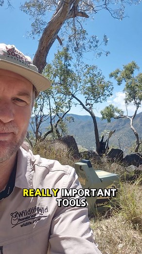 The biggest danger for brush-tailed rock-wallabies? Foxes and feral cats. 🦊 These introduced predators are driving our rock-wallabies toward extinction and threaten young joeys most. While adults can hide in rocky refuges, dispersing joeys are highly vulnerable. Tag along with our Project Officer and see the tool we use for targeted predator control – Felixer grooming trap. This industry-standard device uses AI to detect the right target, accurately distinguishing between species. Unlike tradit